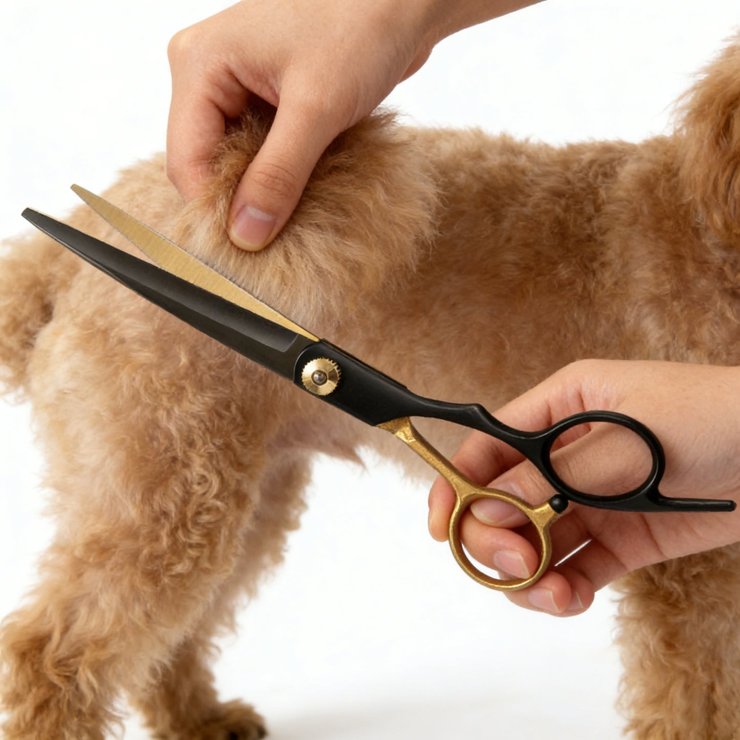 Pet Grooming Shears/Scissors