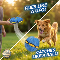 Large Dog Disc Ball