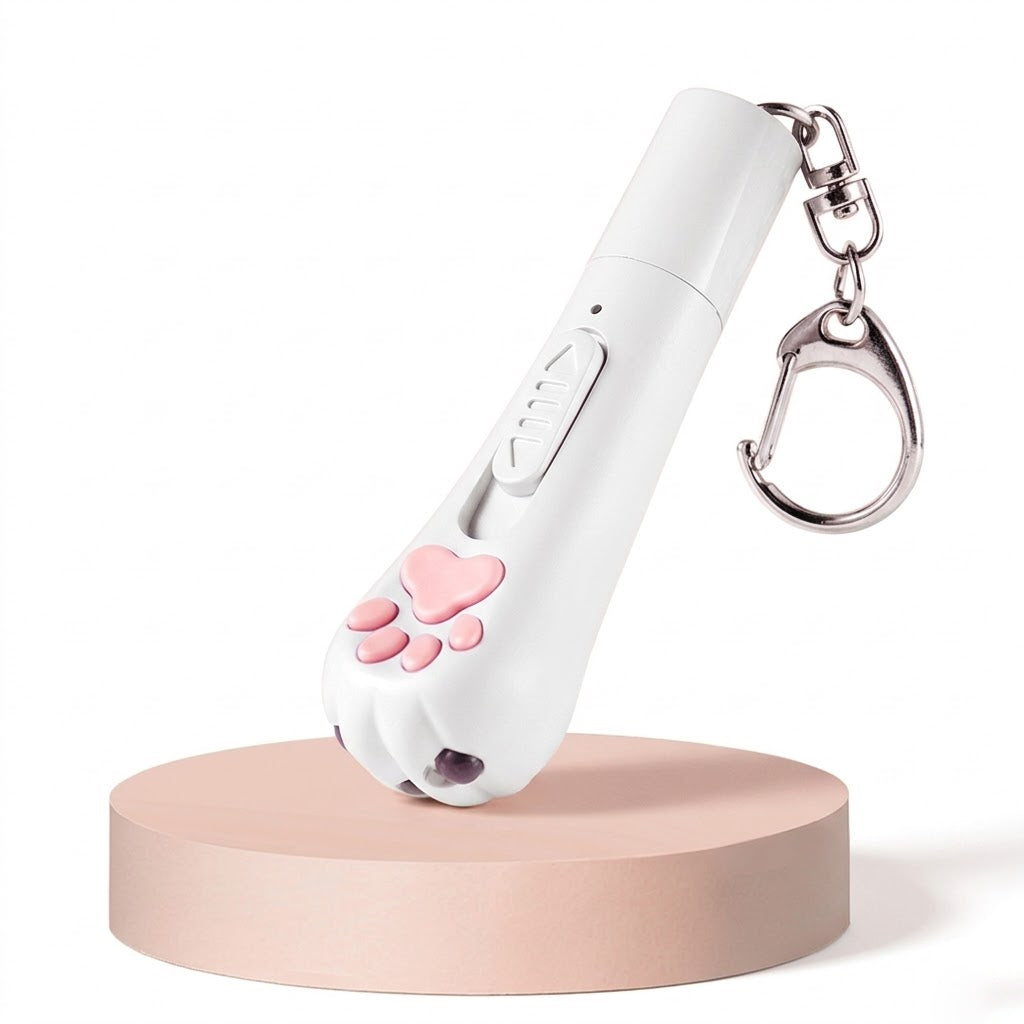 Adorable paw-shaped rechargeable laser cat pointer