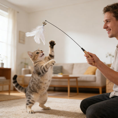 Wooden handle feather cat wand toy