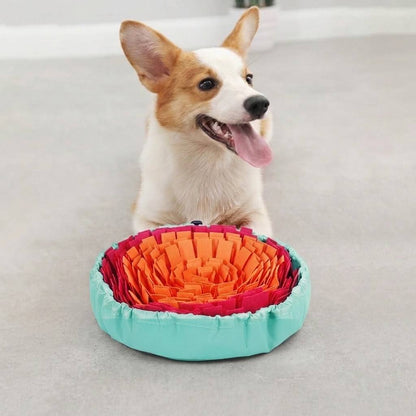 Interactive Pet Snuffle Mat
